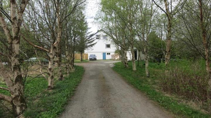 Airbnb And Booking At Postvegen 95 Vigra Exterior foto